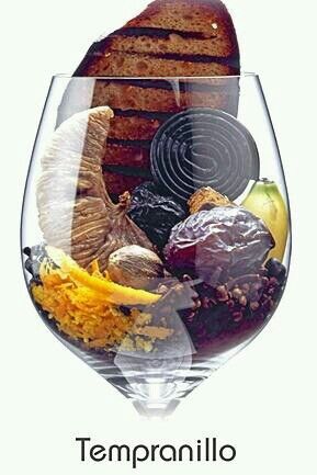 Tempranillo / Aragonez / Tinta de Toro Tempranillo / Aragonez / Tinta de Toro
